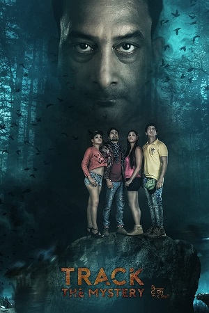 Download Track The Mystery (2021) WebRip Hindi ESub 480p 720p