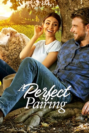 Download A Perfect Pairing (2022) WebDl [Hindi + English] ESub 480p 720p