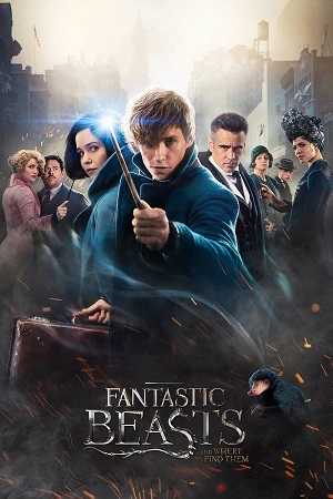 Download Fantastic Beasts and Where to Find Them Part 1 (2016) BluRay [Hindi + Tamil + Telugu + English] ESub 480p 720p 1080p