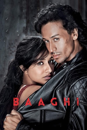 Download Baaghi (2016) BluRay Hindi ESub 480p 720p