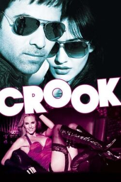 Download Crook It’s Good to Be Bad (2010) WebRip Hindi ESub 480p 720p