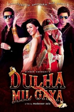 Download Dulha Mil Gaya (2010) BluRay Hindi ESub 480p 720p