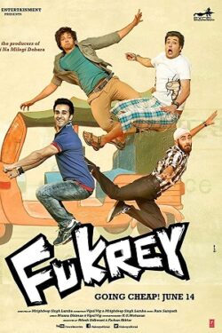 Download Fukrey (2013) BluRay Hindi ESub 480p 720p