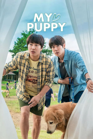 Download My Heart Puppy (2023) WebRip [Hindi + Tamil + Telugu + English] ESub 480p 720p 1080p