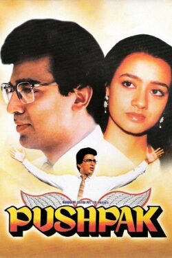 Download Pushpaka Vimana (1987) WebRip Hindi ESub 480p 720p